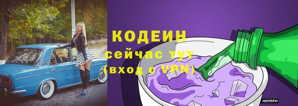 стафф Инта