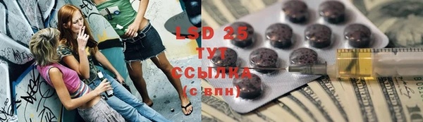 стафф Иннополис