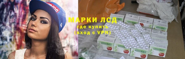 стафф Иннополис
