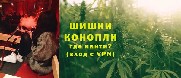 стафф Инта