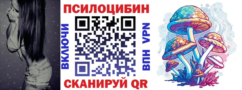 OMG зеркало  Саяногорск  Псилоцибиновые грибы Psilocybe 