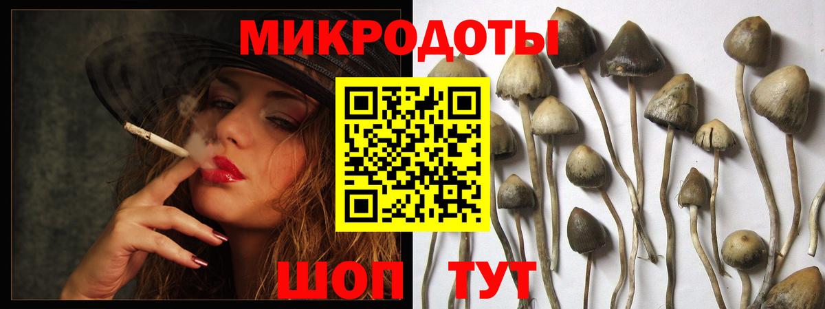 Галлюциногенные грибы Psilocybe  Псилоцибиновые грибы MAGIC MUSHROOMS  Саяногорск  Вход с VPN 